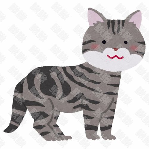 卡通猫的头像美国短毛猫