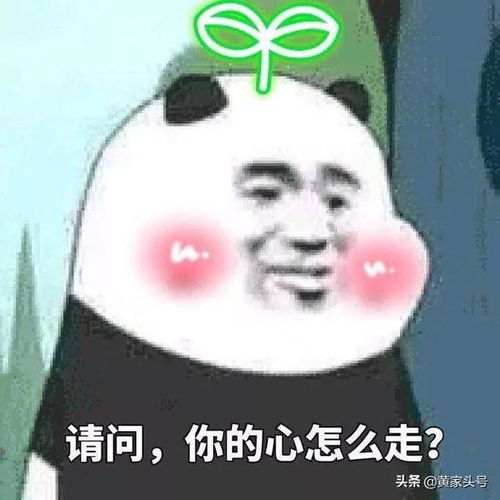 00后撩妹都用表情包了,90后大叔过年还被逼亲
