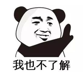 吐血巨制记者专用表情包来了