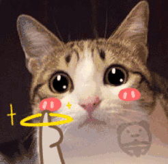 别贴了,你这样的寻猫启事根本就找不到猫