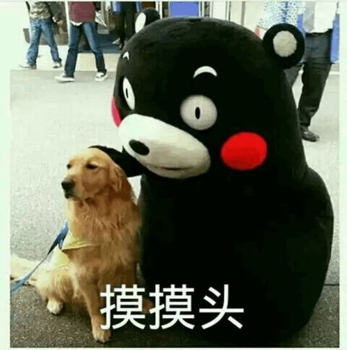 企石小伙伴千万不要用护照过港否则将面临这样严重的后果