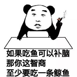 这些沙雕宠物你肯定没见过
