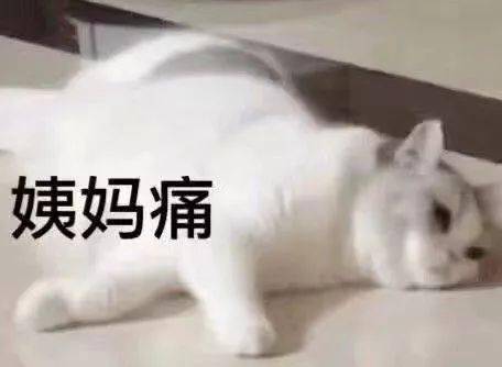 表情包今日份沙雕