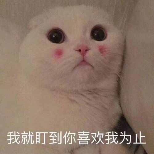 搞笑沙雕朋友圈文案配图