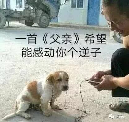 每日一笑精选搞笑图片,搞笑短句8