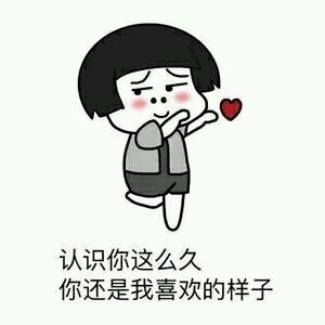 表情包搞笑表白
