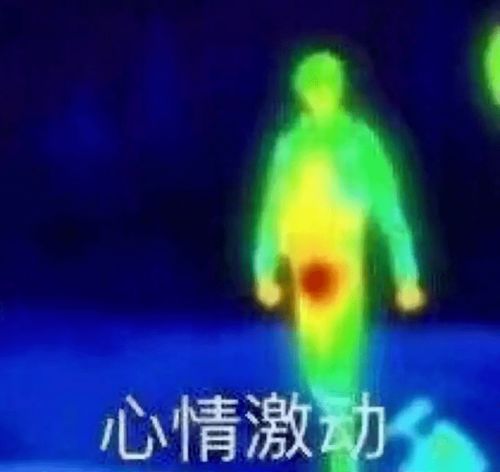 作为南方人,看到他们这样玩雪,我...我要报警了