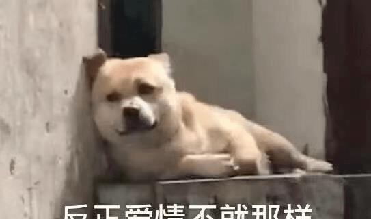 西游记沙雕搞笑表情包孙悟空