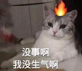 表达不开心的表情包我真的好难受