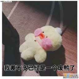 傻子表情包搞笑视频表情包