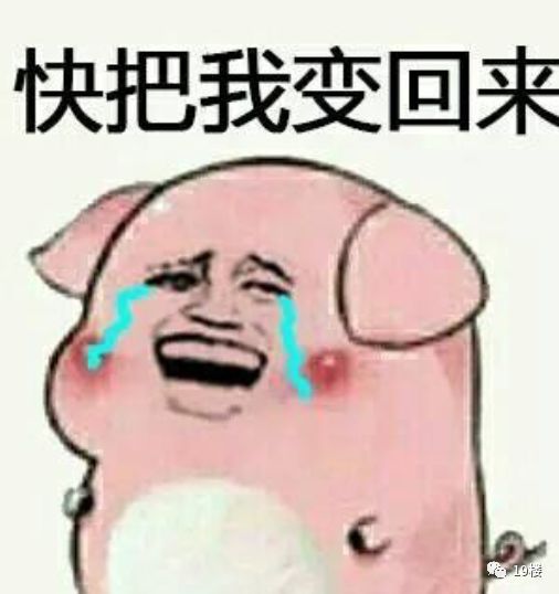 婚姻怕是个养猪场啊老公四年前和现在大对比,哈哈哈