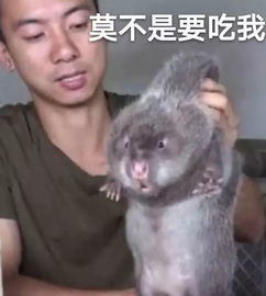 螺蛳粉不算什么广西的重口味美食,你敢吃吗