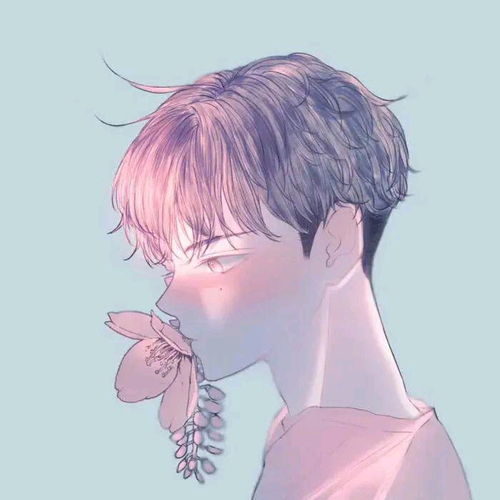 哔哩哔哩专栏