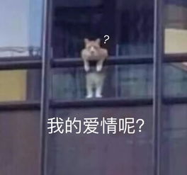 日子太苦了只有表情包能救你第九弹