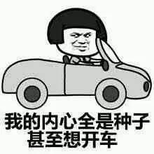 下雨天搞笑表情包图片开车