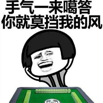 打麻将搞笑表情包