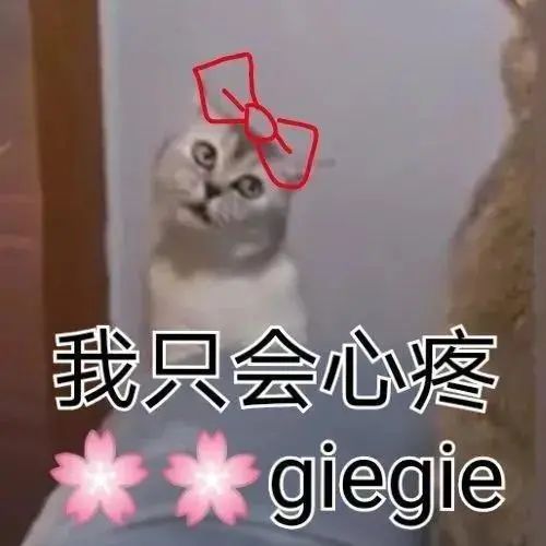我只会心疼geigei丨第128期喵表情