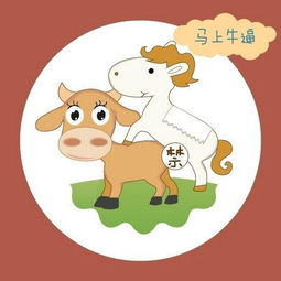 马上体图册