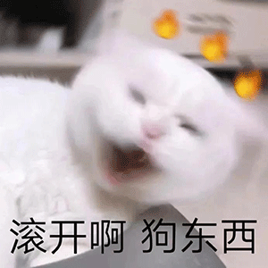 40张沙雕表情包你居然馋我身子,小哥哥进我的圈套