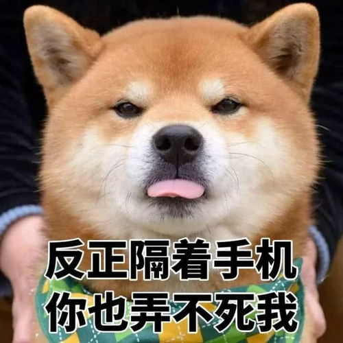 监考老师真的太太太太难了