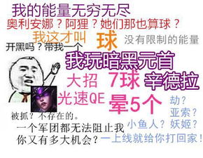 书蝶照片书蝶相册大全yy官方