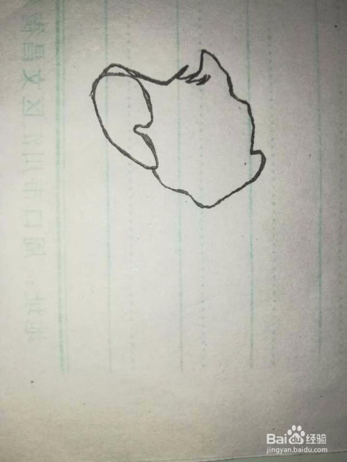 动画片猫和老鼠中的小老鼠杰瑞的画法