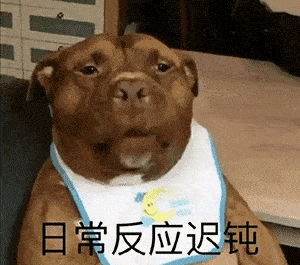 沙雕搞笑表情包爱会不会消失我不知道,我只知道再喝酒我会消失
