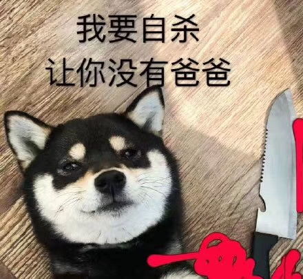 有鹅用过崔娅蓬松夹板吗