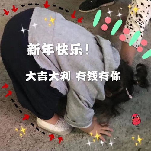 2020最搞笑表情包新年快乐