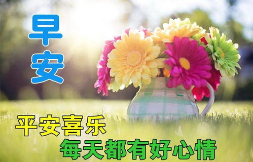 早上好搞笑表情包聊天表情