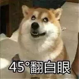 最全沙雕狗子表情包合辑年度最傻狗子都在这儿了
