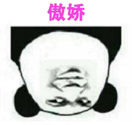 斗图表情包搞笑图片之我骄傲,我傲娇
