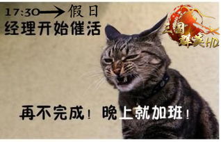 快扶我去东莞3k玩三国群英hd游历系统概念初曝光