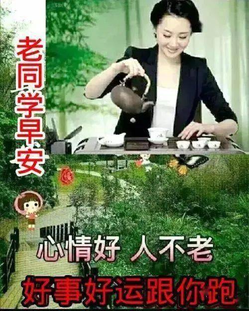 关心老同学的早上好表情包,一句早安无限祝福,温暖你的心房
