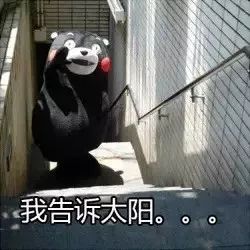 下大雨搞笑表情包暴雨
