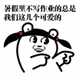 又是你们这几个长得好看的啊