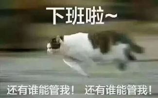搞笑表情包放假表情包来了