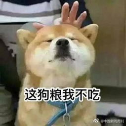 高手在民间大叔米上刻字15年,用2斤米换了套房