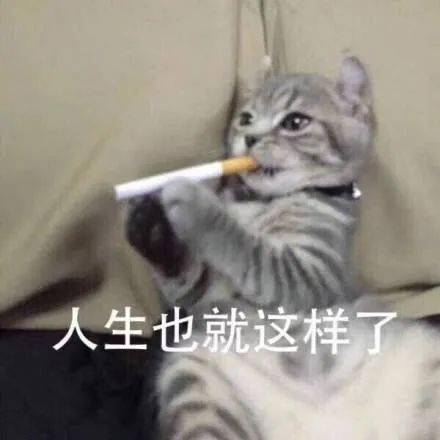 假期的意义就是没有意义每日搞笑段子