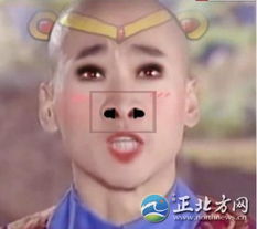 杨幂遭ps变插座贴尔康容嬷嬷纷纷中枪6