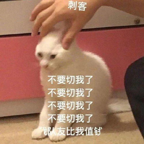 沙雕表情你在教我做事