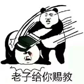 表情包丨没意思,一群小咪咪