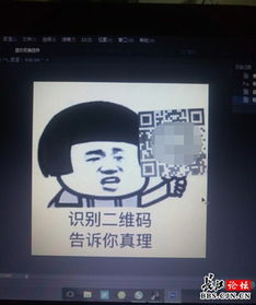 二维码搞笑表情包一天