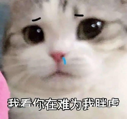 眼睛沾书就困