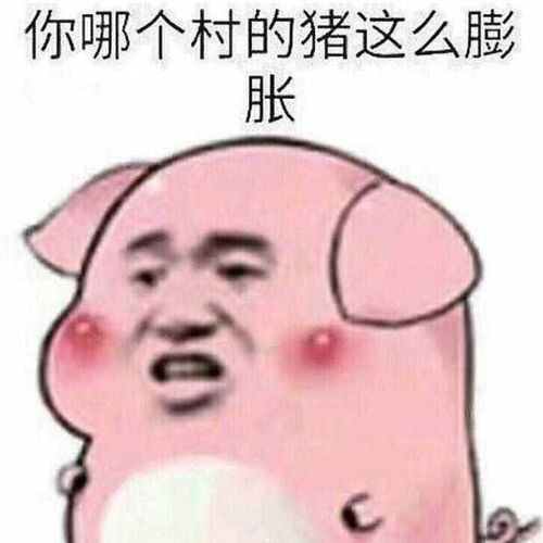 你见过哪些搞笑的新闻报道