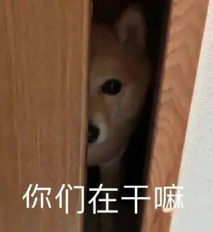 今日份表情包精选