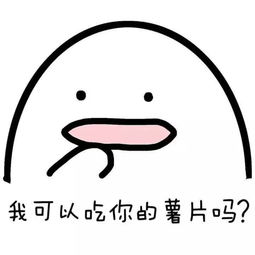 意境美图同人动物键盘壁纸大海搞笑g堆糖,美好生活研究所