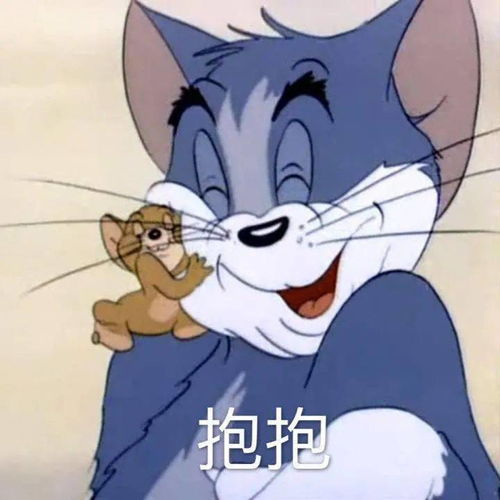每日精选沙雕表情包