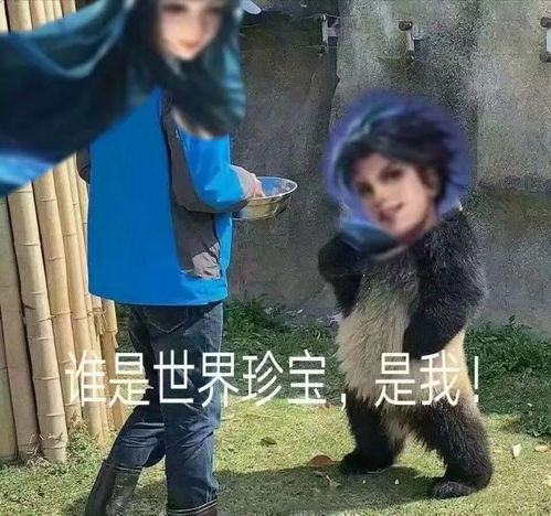 东方曜表情包太可爱啦哈哈哈