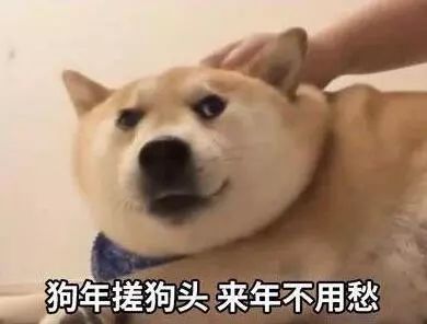 这才是过年震慑七大姑八大姨的的正确打开方式